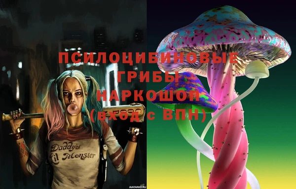 mix Слюдянка