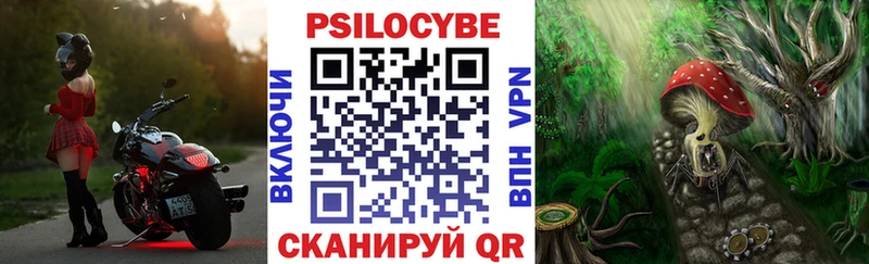 Галлюциногенные грибы Psilocybine cubensis Геленджик