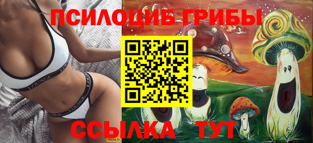 Псилоцибиновые грибы прущие грибы Геленджик