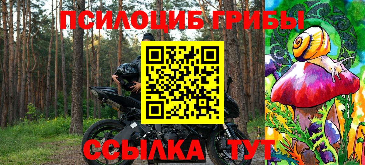 Галлюциногенные грибы GOLDEN TEACHER  Вход с VPN  Галлюциногенные грибы Psilocybe  Геленджик 